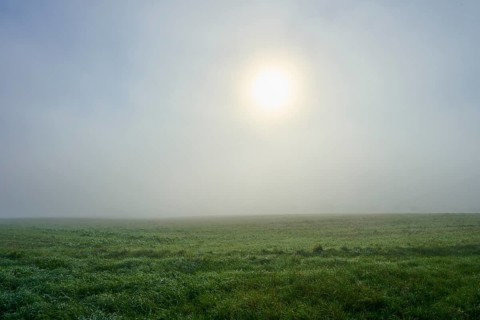 Sun shimmering through dense fog over a meadow, soft light, Mönchberg, Miltenberg, Spessart,