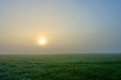 The sun shines through the morning fog over a green meadow, Mönchberg, Miltenberg, Spessart,