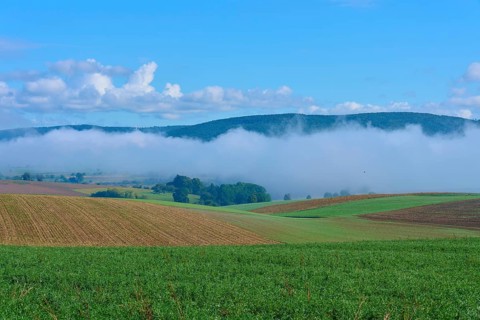 Fog drifts over hilly fields under a clear blue sky, Mönchberg, Miltenberg, Spessart, Bavaria,