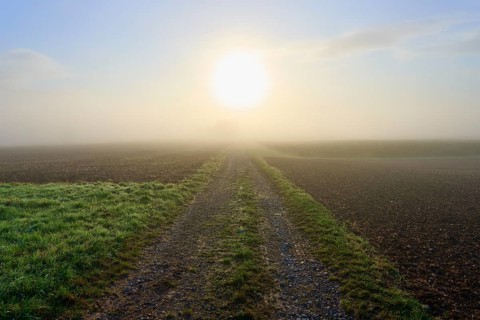 Field path in fog with rising sun and fields, Mönchberg, Miltenberg, Spessart, Bavaria, Germany