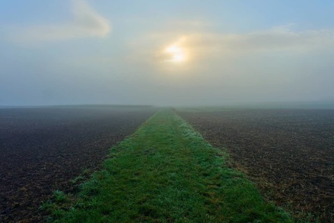 Foggy meadow path and field, quiet atmosphere, Mönchberg, Miltenberg, Spessart, Bavaria, Germany