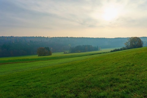 Hilly landscape with green fields and forest in the background under a cloudy sky, Hornbach,
