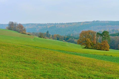 Wide landscape with green fields and trees under a cloudy sky, Hornbach, Walldürn, Odenwald,