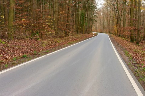 Asphalted road through autumnal forest, lined with trees, quiet atmosphere, Buchen, Odenwald,