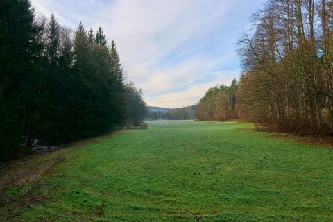 A wide green meadow stretches out in front of a quiet forest under a clear blue sky, Odenwald,