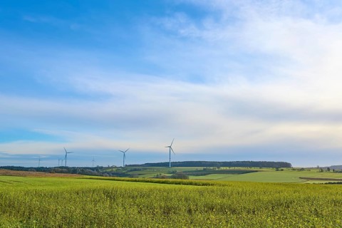A wide landscape with wind turbines under a blue sky, Buchen, Odenwald, Neckar-Odenwald district,