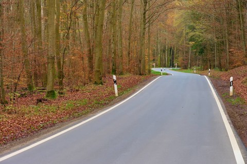 Long winding road through quiet, autumnal forest with beech trees, Odenwald, Neckar-Odenwald Kreis,