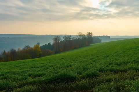 Green hills and trees in a misty morning under a cloudy sky, Hornbach, Walldürn, Odenwald,