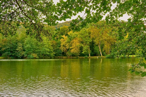 Calm lake surrounded by autumn coloured trees with green leaves in the foreground, Amorbach,