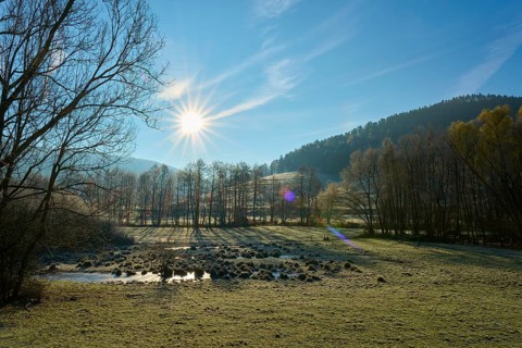 The sun shines through the trees on a wooded hill in a wide meadow, Kirchzell, Amorbach, Odenwald,