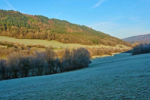 Sunlit meadow in front of a forest with rolling hills in winter morning, Kirchzell, Amorbach,