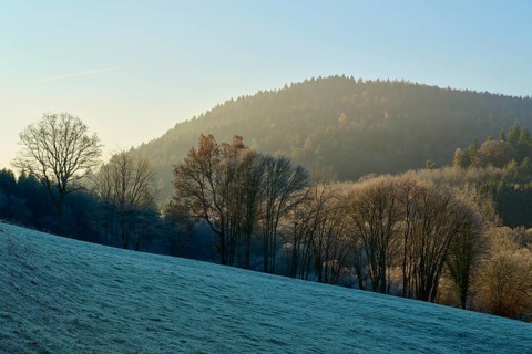 Snowy landscape with trees and hills in the morning light under a blue sky, Kirchzell, Amorbach,