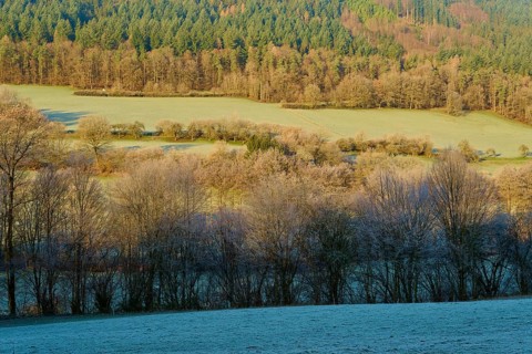 Winter landscape with fields and wooded hills in the morning light, Kirchzell, Amorbach, Odenwald,