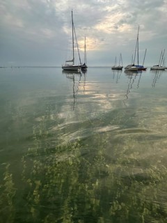 Evening atmosphere, sailing boats on Lake Starnberg, Bavaria, Germany