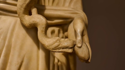 Close-up of a marble hand holding a snake, conveying detail, Hygieia, goddess of health holding a