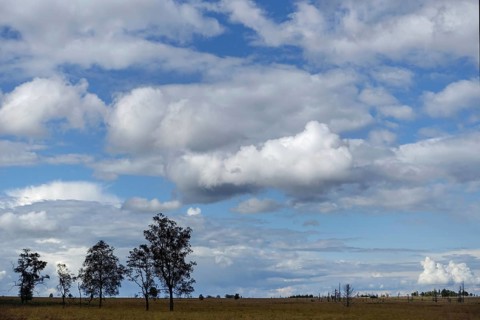 In the High Fens... impressive, wide, strictly protected moorland on a plateau in the Eifel in the
