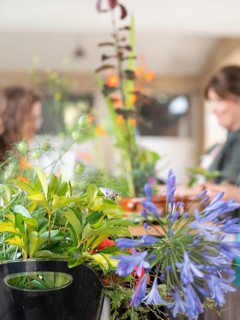 Florists are creating beautiful ikebana arrangements during a workshop, using various colorful