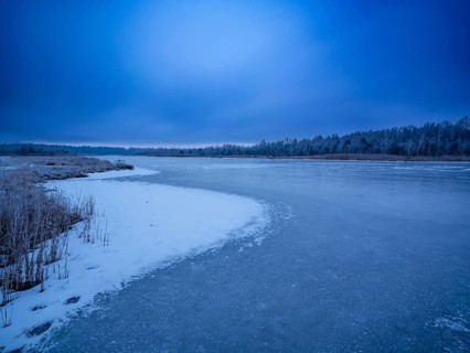 Frozen moor lake in wintery Ainringer Moor, also moss, Ainring, Berchtesgadener Land, Upper