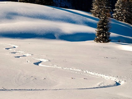 Lonely ski trail in deep snow, Berchtesgaden Alps, Berchtesgaden National Park, Schönau am