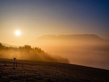 Meadow with birdhouses over high fog at sunrise, Untersberg in the background, Högl, Anger,
