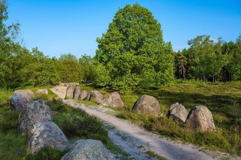 Glan Bride, Glander Steine, megalite grave, megalite culture, Dötlingen, Lower Saxony, Germany