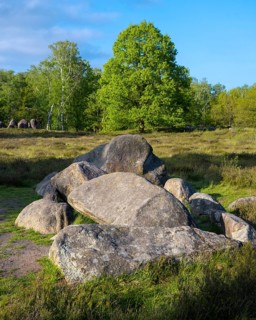 Glan Bride, Glander Steine, megalite grave, megalite culture, Dötlingen, Lower Saxony, Germany