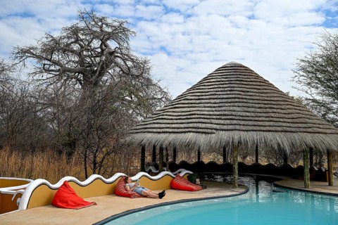 Planet Baobab swimming pool, lodge near the village of Gweta, Makgadikgadi Pans National Park,