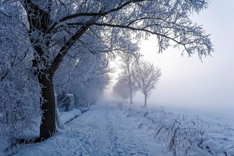 Hiking trail, Unterer Warwischer Wasserweg, in the snow on a hazy winter day in Hamburg's Vier- und