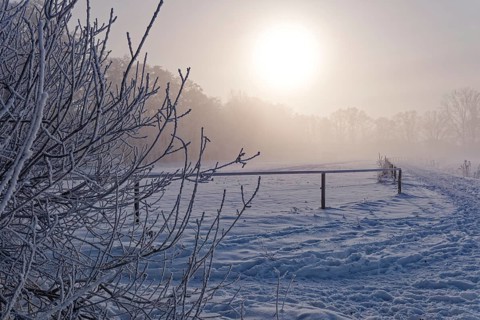 Traces in the snow in the diffuse light of the sun on a hazy winter day in Hamburg's Vier- und