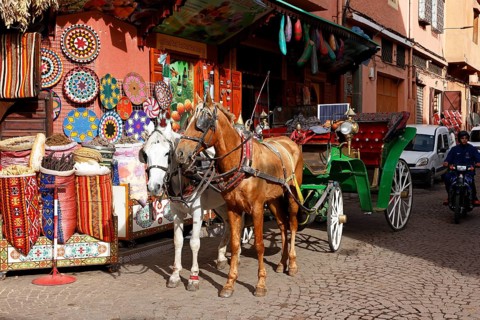Horses and horse-drawn carriage for sightseeing tours with tourists in an old town alley,