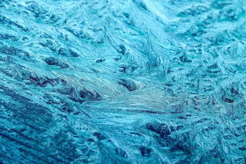 Beautiful ice flowers on a window, winter, Germany