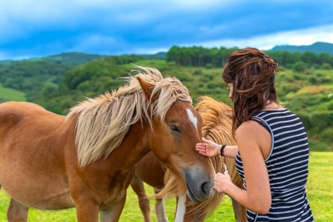 Woman gently touching a wild horse on its face, forming a connection while standing in a lush green