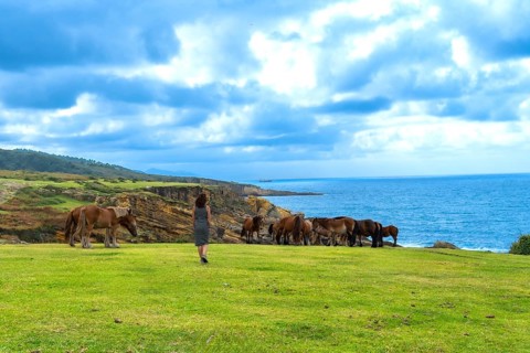 Woman standing on a grassy cliff top observing a herd of wild horses grazing near the edge, with