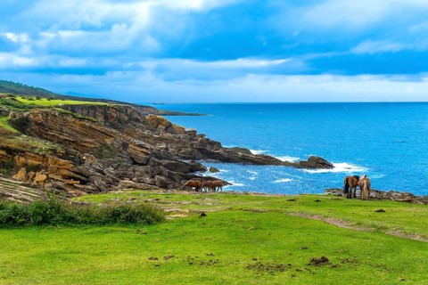 Wild horses graze on green pastures of mount jaizkibel, overlooking the cantabrian sea and rugged