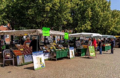 Weekly market on Bassinplatz, Potsdam, Brandenburg, Germany also
