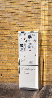 Old refrigerator is on a backyard, Potsdam, Brandenburg, Germany