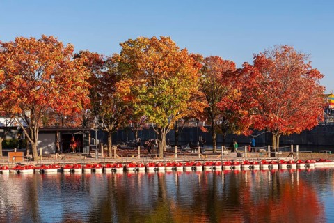 Moored recreational peddle boats in Bassin Bonsecours and Parc du Bassin Bonsecours in autumn, Old
