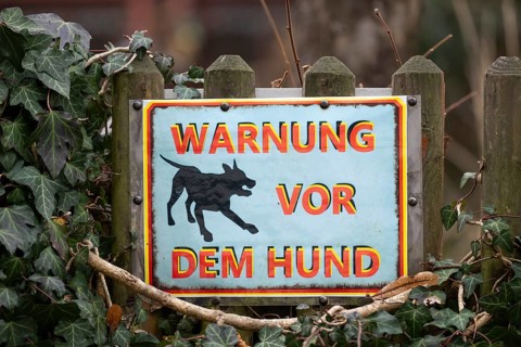 Dog warning sign on a wooden fence, Blaubeuren, Swabian Jura, Baden-Württemberg, Germany