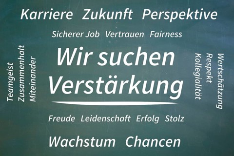(Added) Text WE ARE LOOKING FOR REINFORCEMENT, surrounded by positive terms such as career, future,