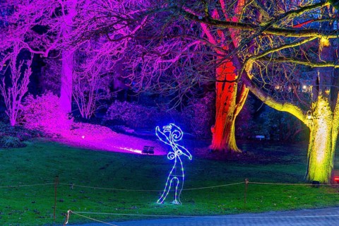 Winter lights in Luisenpark in Mannheim. Every year in January and early February, the park is