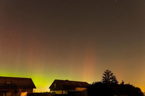 Green and pink polar lights over houses in the evening sky, starry sky, trees at night, aurora