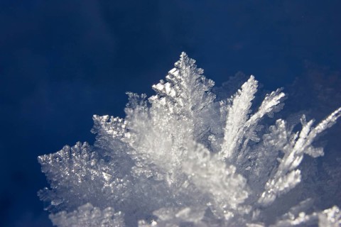 Snow crystals, ice crystals, sun, Upper Bavaria, Germany