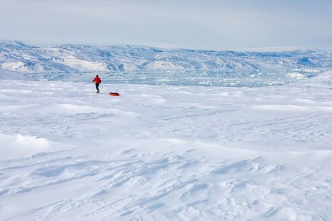 A tourist on a winter Arctic expedition skiing along Ikasartivaq Fjord, Sermersooq municipality,