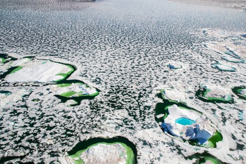 Aerial view of melting icepack and icebergs, Greenland (Kalaallit Nunaat), Arctic Ocean, climate