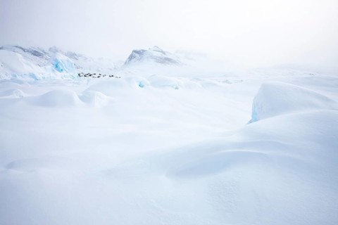 Tiniteqilaaq covered in snow during winter. The village is one of five settlements around