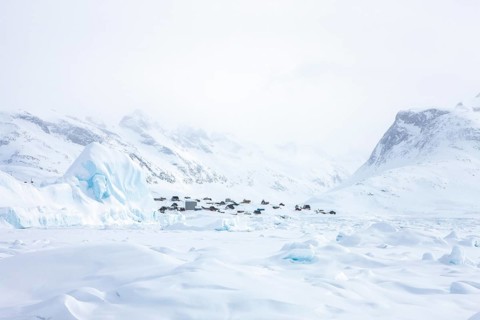 Tiniteqilaaq covered in snow during winter. The village is one of five settlements around