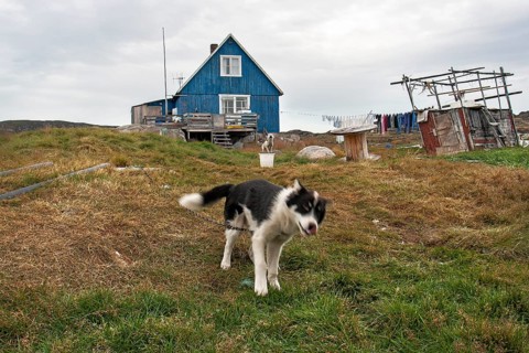 Ilimanaq, the small village is one of the oldest settlements in Greenland, located in the Avannaata