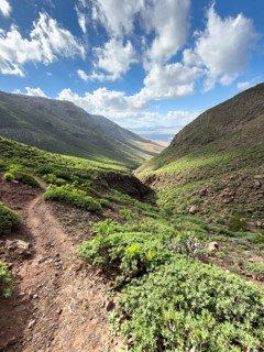 View of the green valley of Risco de Famara against a blue sky with white clouds, Caleta de Famara,