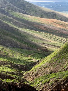 View of the green valley of Risco de Famara, Caleta de Famara, Lanzarote, Canary Islands, Spain