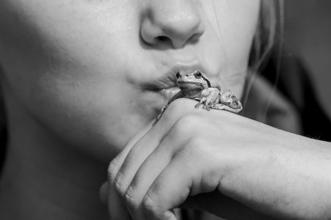 A young woman kisses a small frog Frog King Tree Frog (Hyla arborea) sitting on her hand close-up,